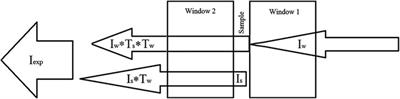 Analysis of Emission Infrared Spectra of Protein Solutions in Low Concentrations